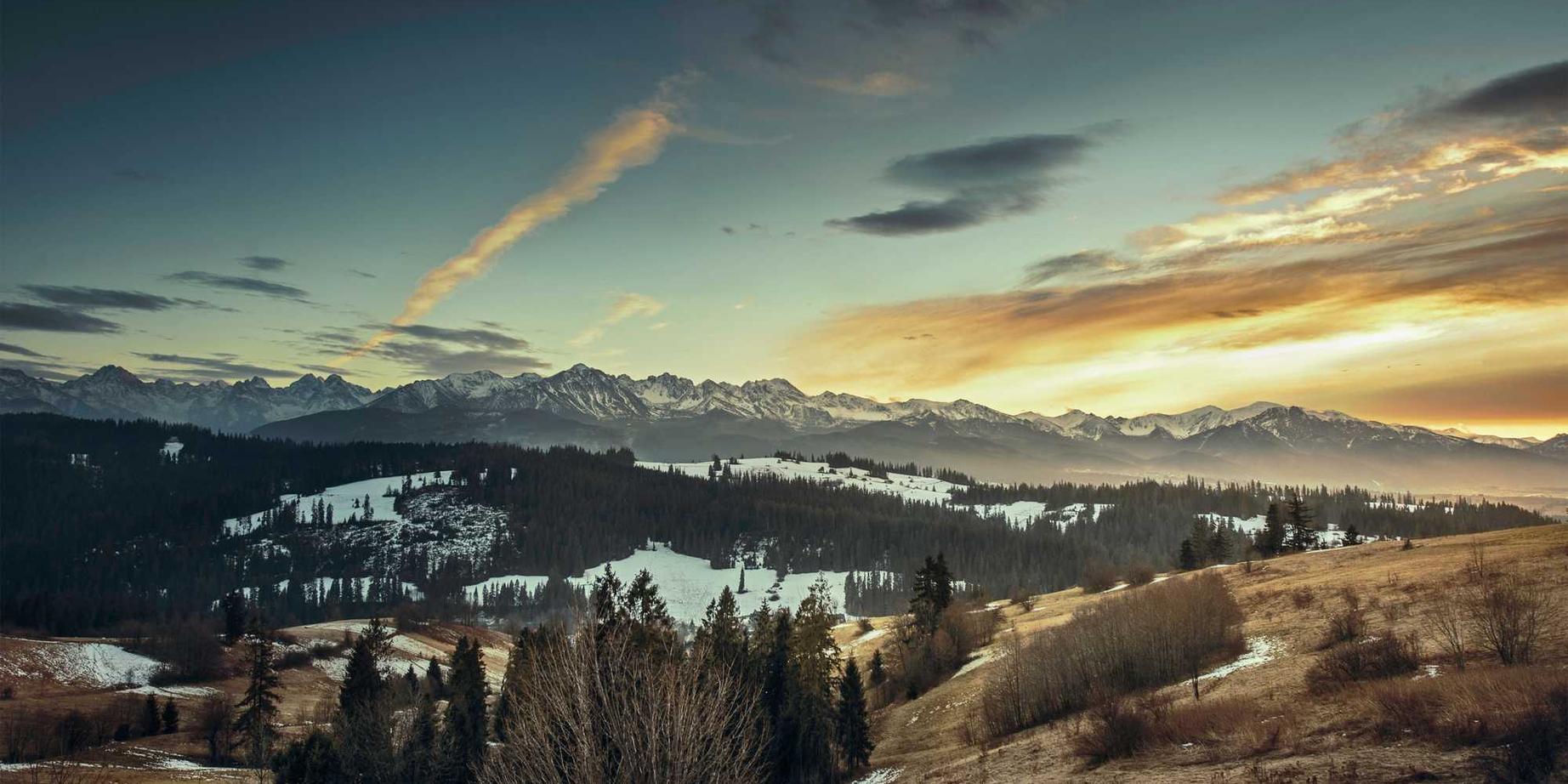 网页在线DDOS压力测试|青岛货物运输代理平台电话