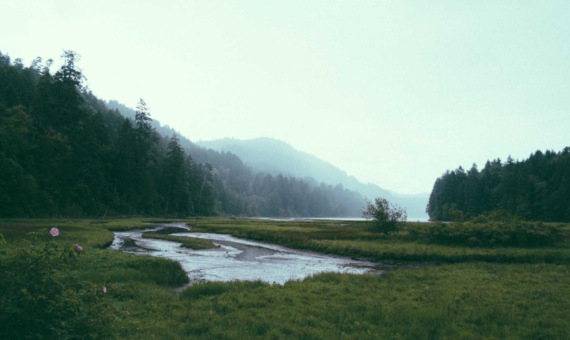 悠拳世界app详情下载教程