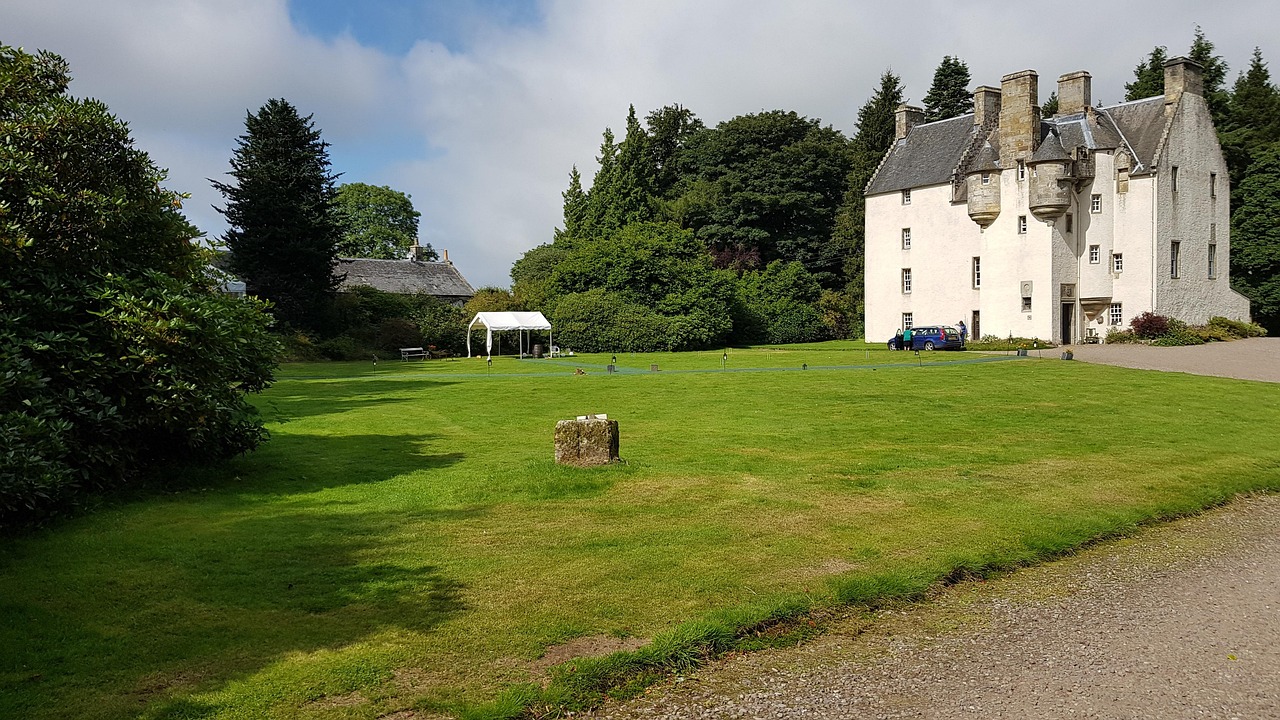 Mond梦都口香糖：鞋子购买渠道平台有哪些