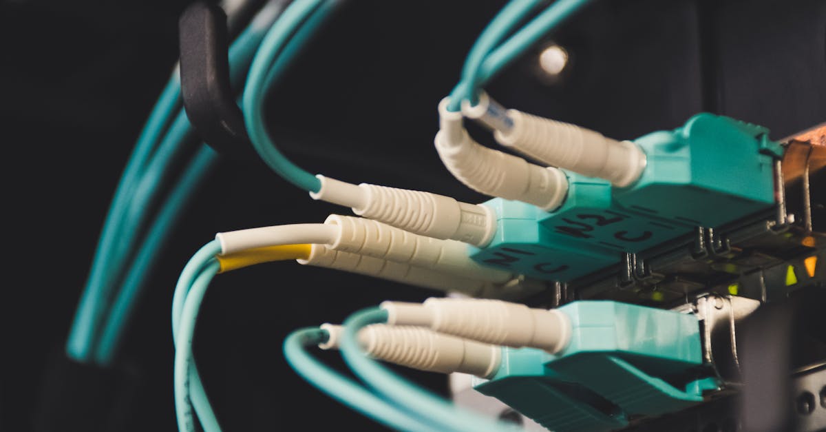 如何利用内部链接增强你的SEO