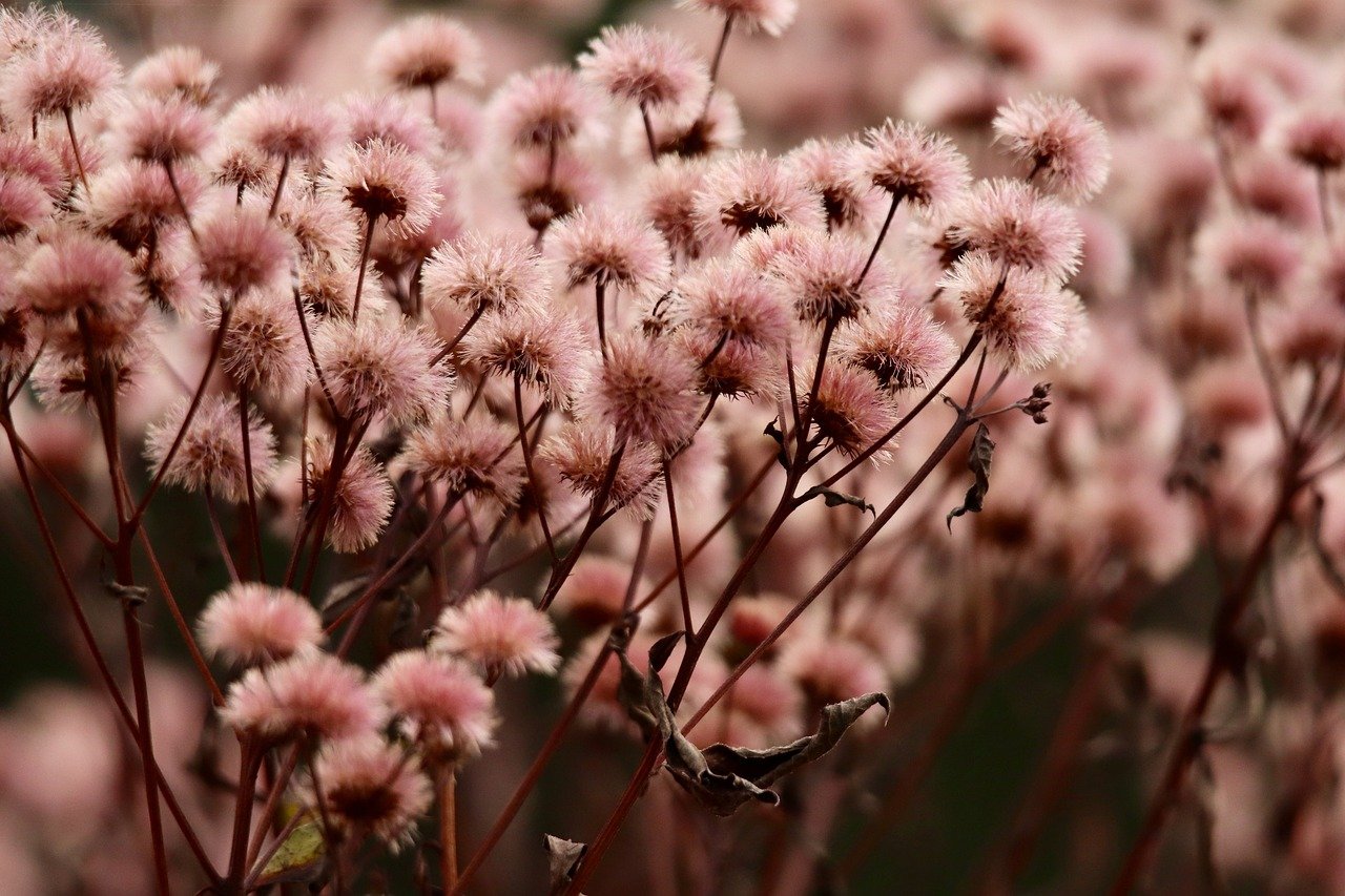 匿名号码卡批发：启东注册公司代理