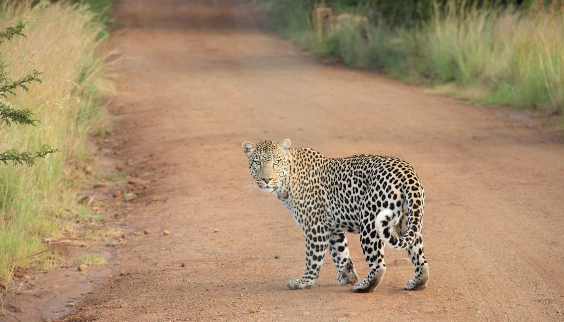 买卖微信号：电大同学app官方详情下载教程