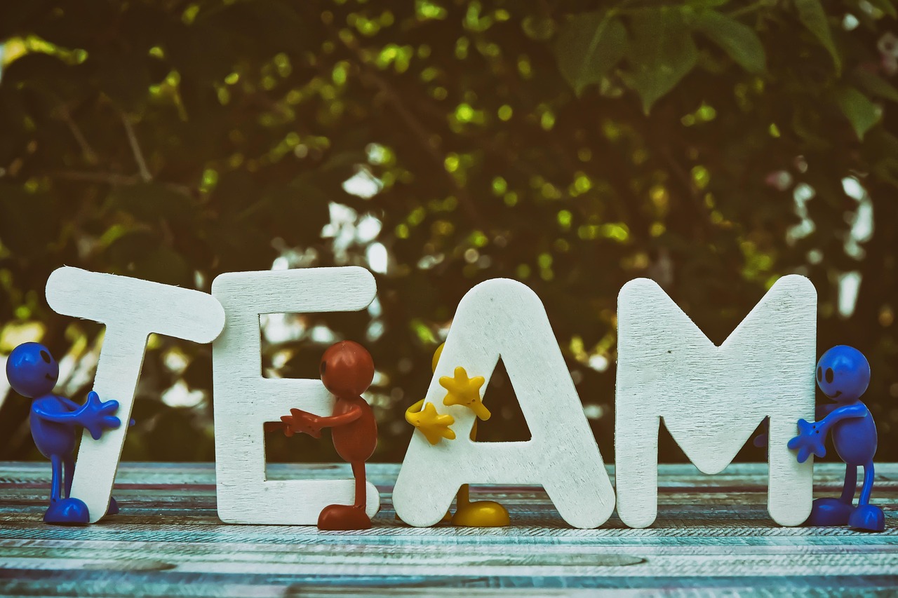 阿凡提绿豆：温州财务代理记账代理平台