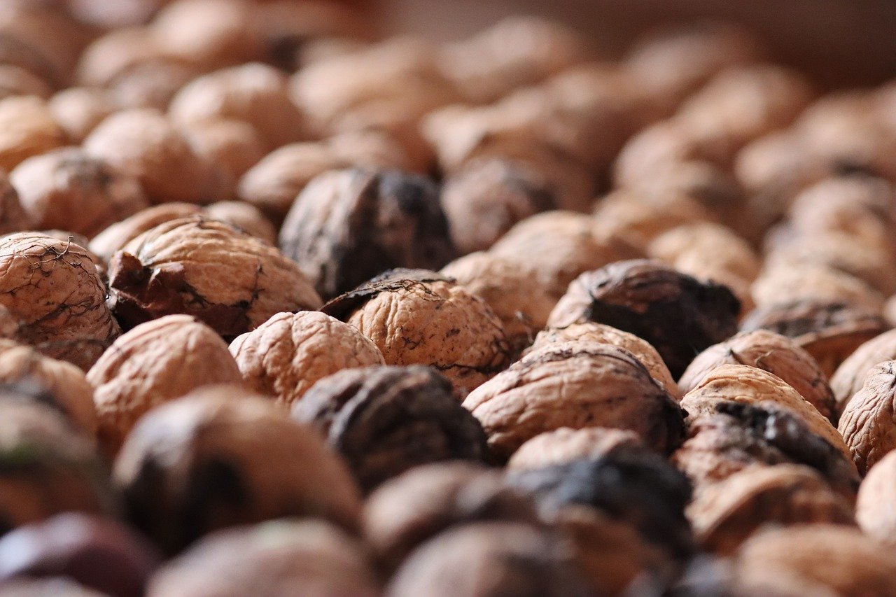 Vx批发小号：雪尊卡盟注册代理